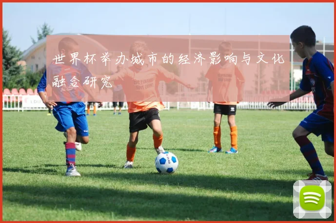 世界杯举办城市的经济影响与文化融合研究