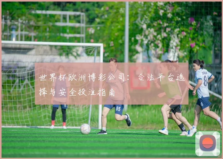 世界杯欧洲博彩公司：合法平台选择与安全投注指南