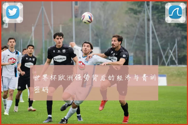 世界杯欧洲强势背后的经济与青训密码
